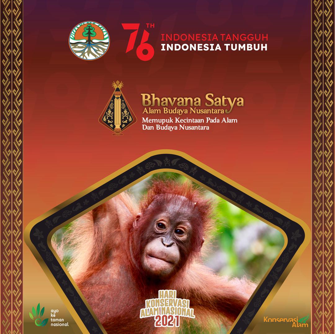 Sambutan Menteri LHK pada HKAN 2021